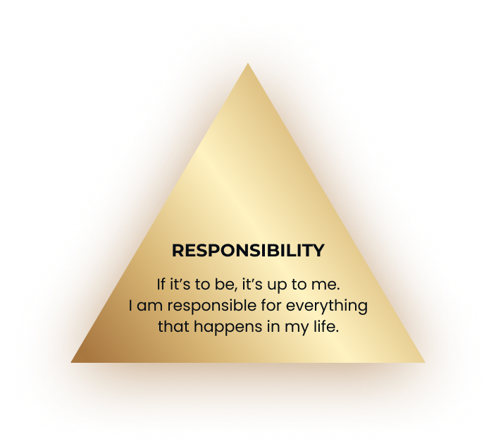 About Flip Responsibility Image